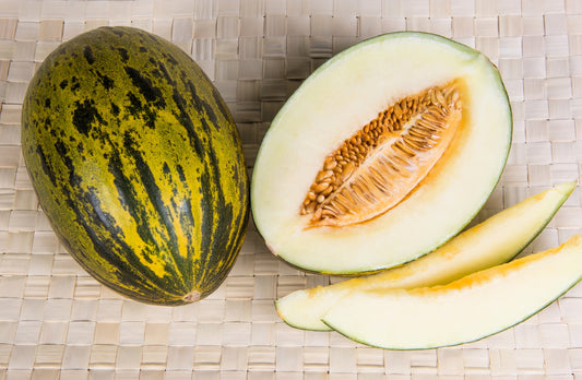 Piel de Sapo Melon seeds for planting Santa Claus melon