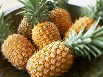 Pineapple seeds for tropical planting at home
