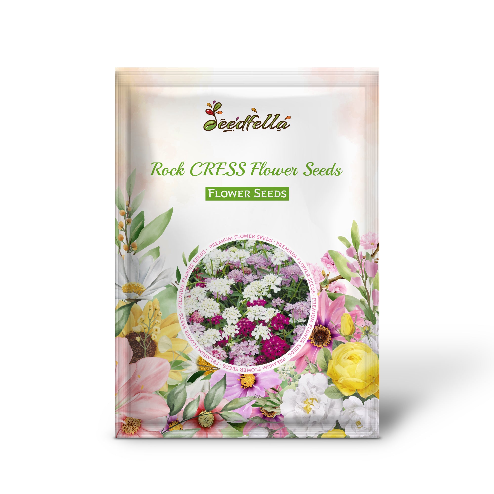 Pink and White Rock Cress Flowers in Bloom