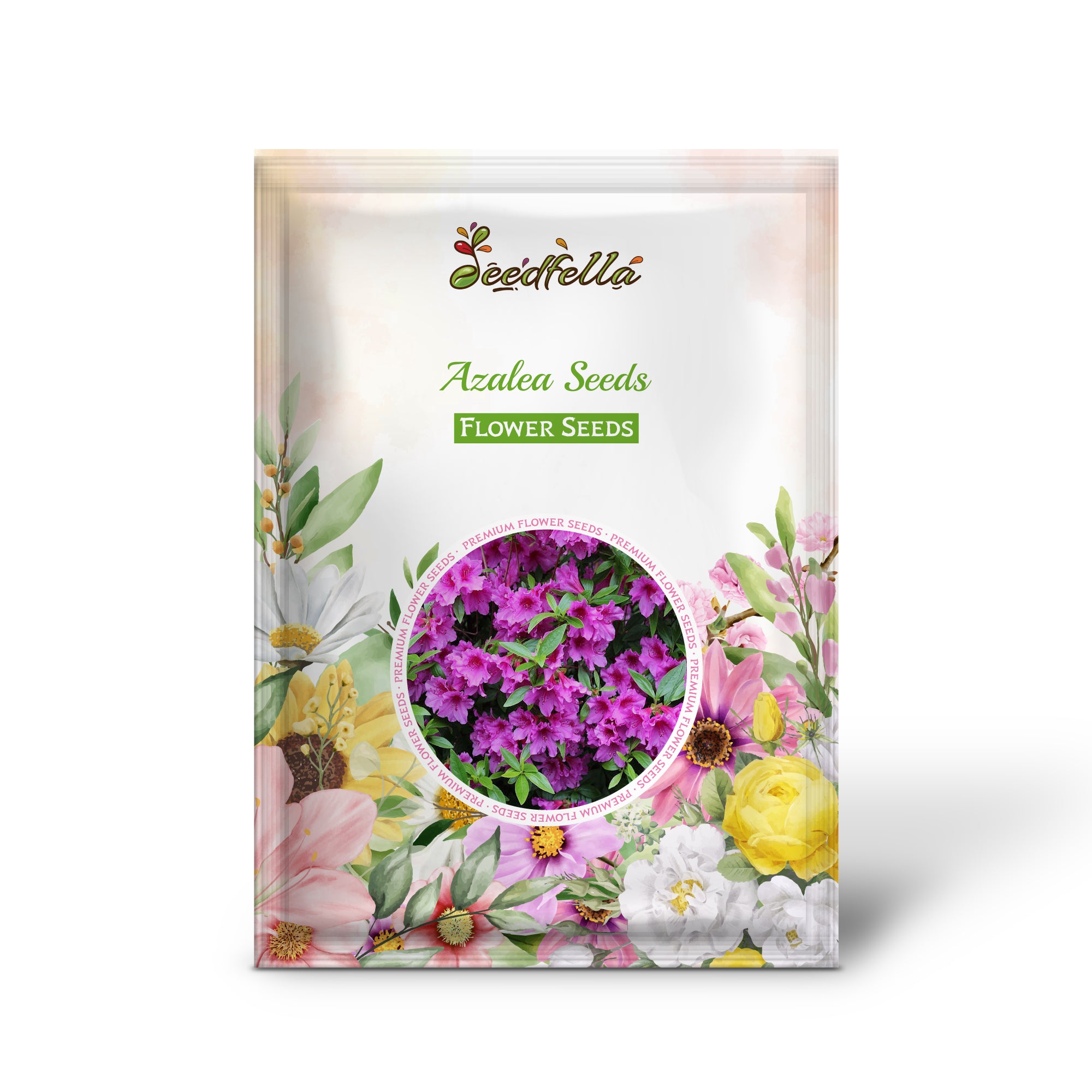 Pink Azalea Blooms in Full Garden Display