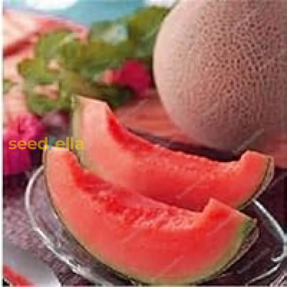 Pink Cantaloupe Seeds For Planting  Sweet Melon Fruit