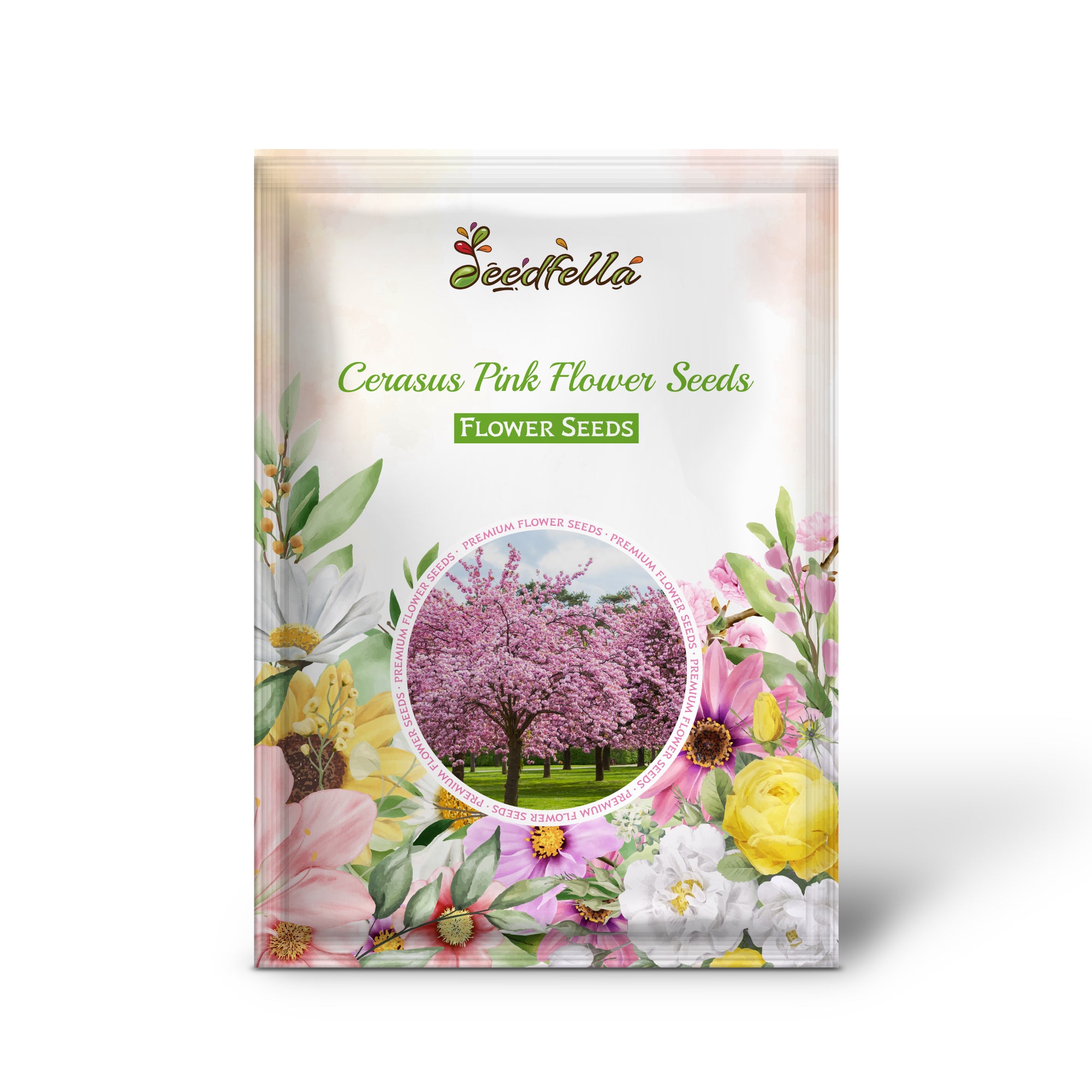 Pink Cerasus Cherry-Like Blooms in Garden