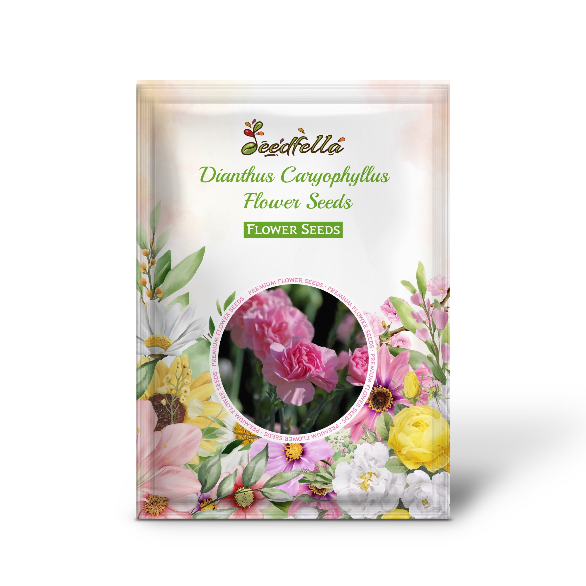 Pink Dianthus Caryophyllus Blooms for Garden Borders