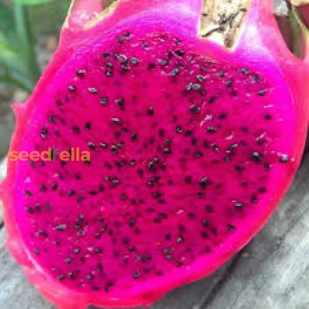 Pink Pitaya Seeds For Planting  Grow Your Own Delicious Dragon Fruit