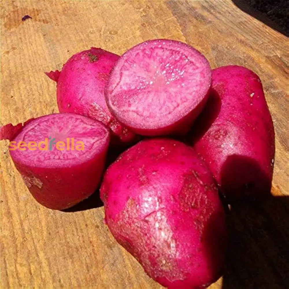 Pink-Purple Potato Vegetable Seeds Perfect For Home Gardens Seeds