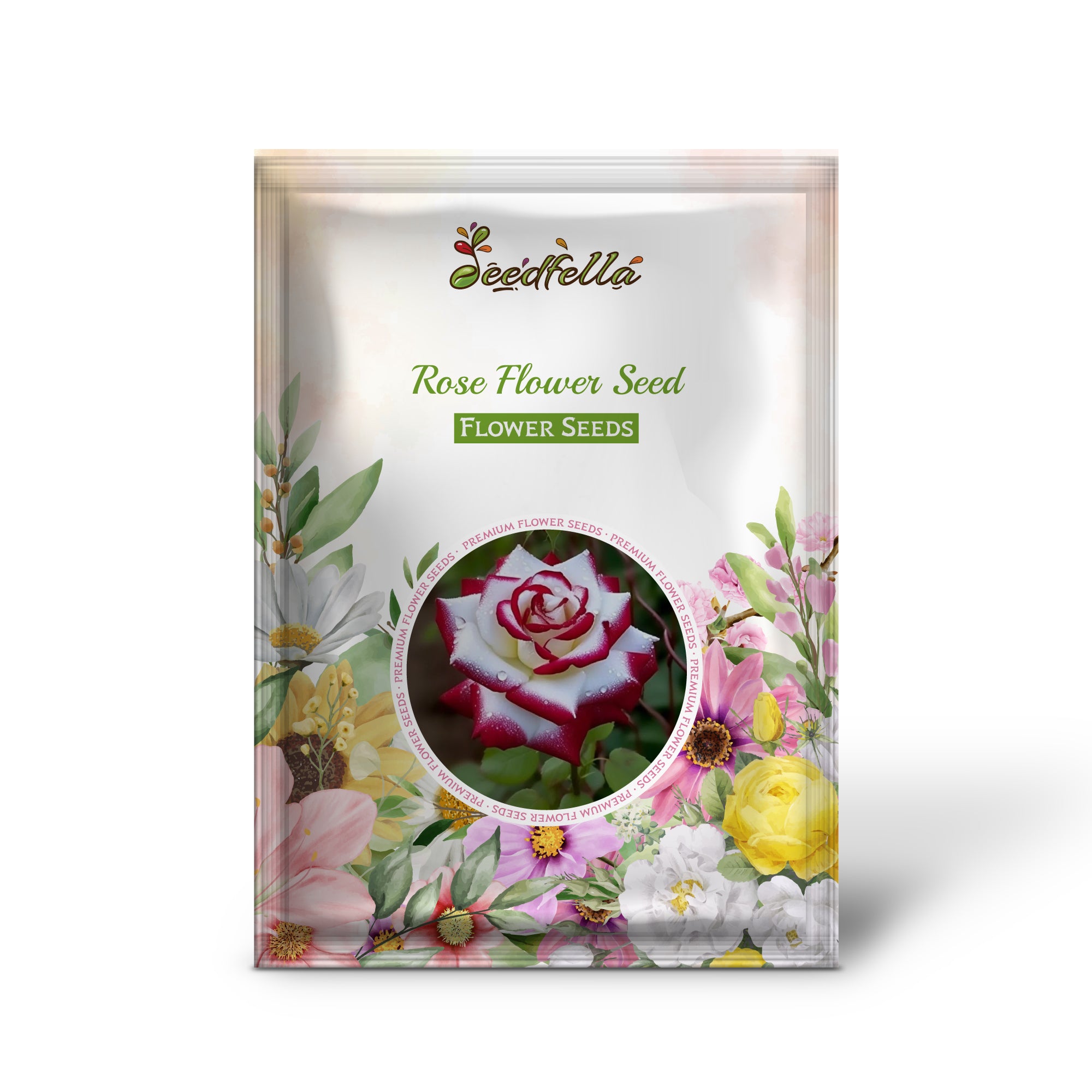 Pink and Red Rose Blooms for Garden Planting