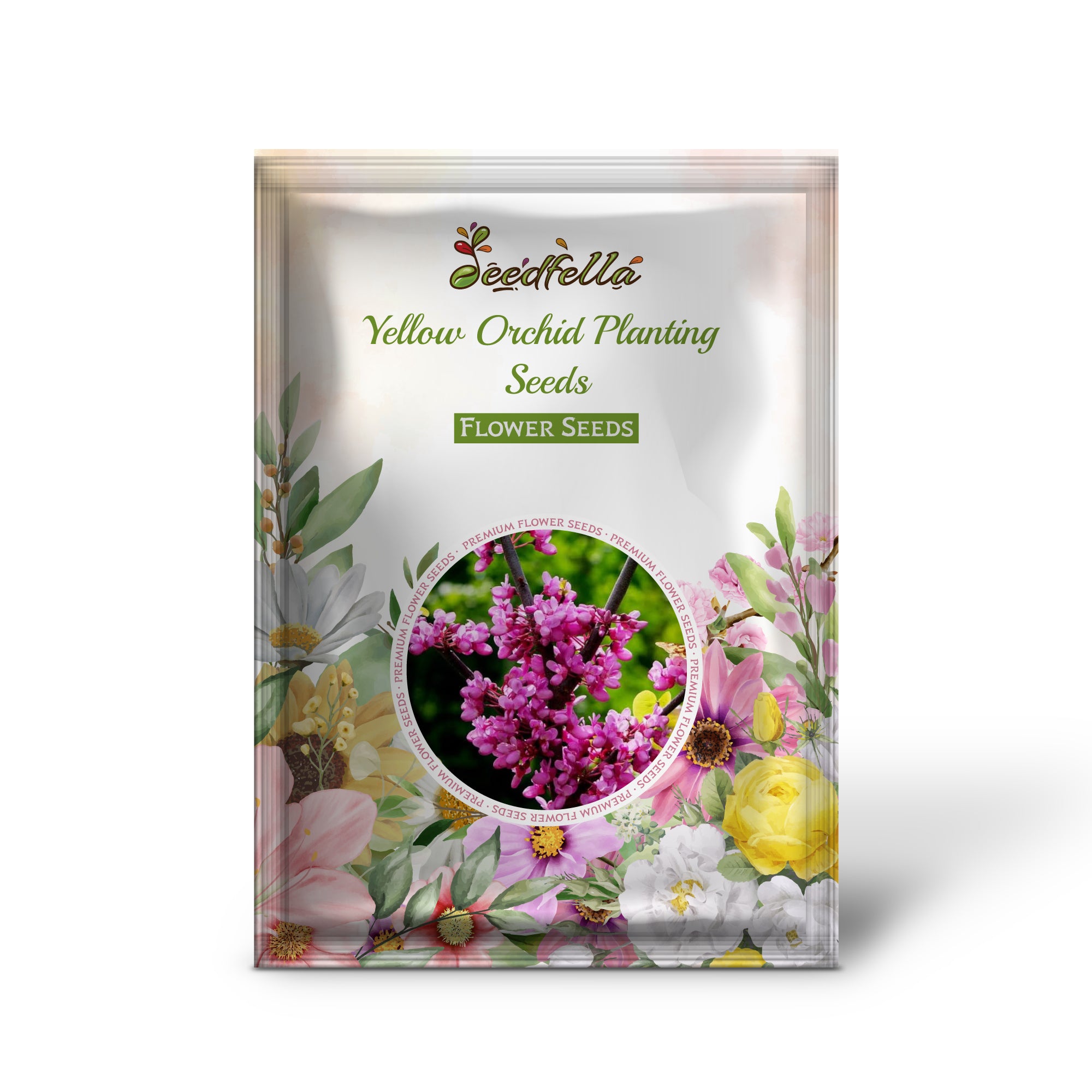 Baby Pink Redbud Tree in Full Bloom