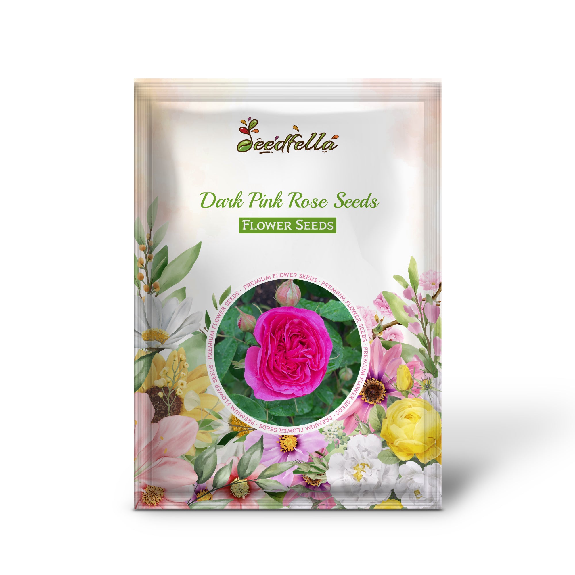 Pink Rose Flower Seeds for elegant garden borders