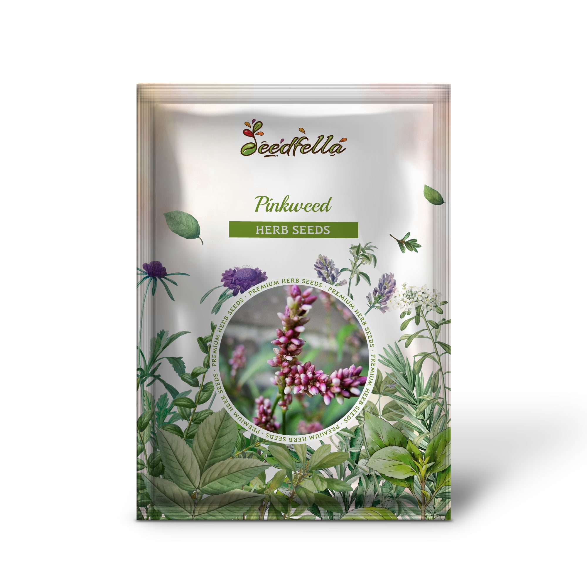 Close-up of Pinkweed Smartweed pink flower spikes