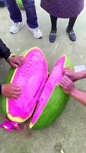 Pink watermelon seeds for planting sweet juicy fruits