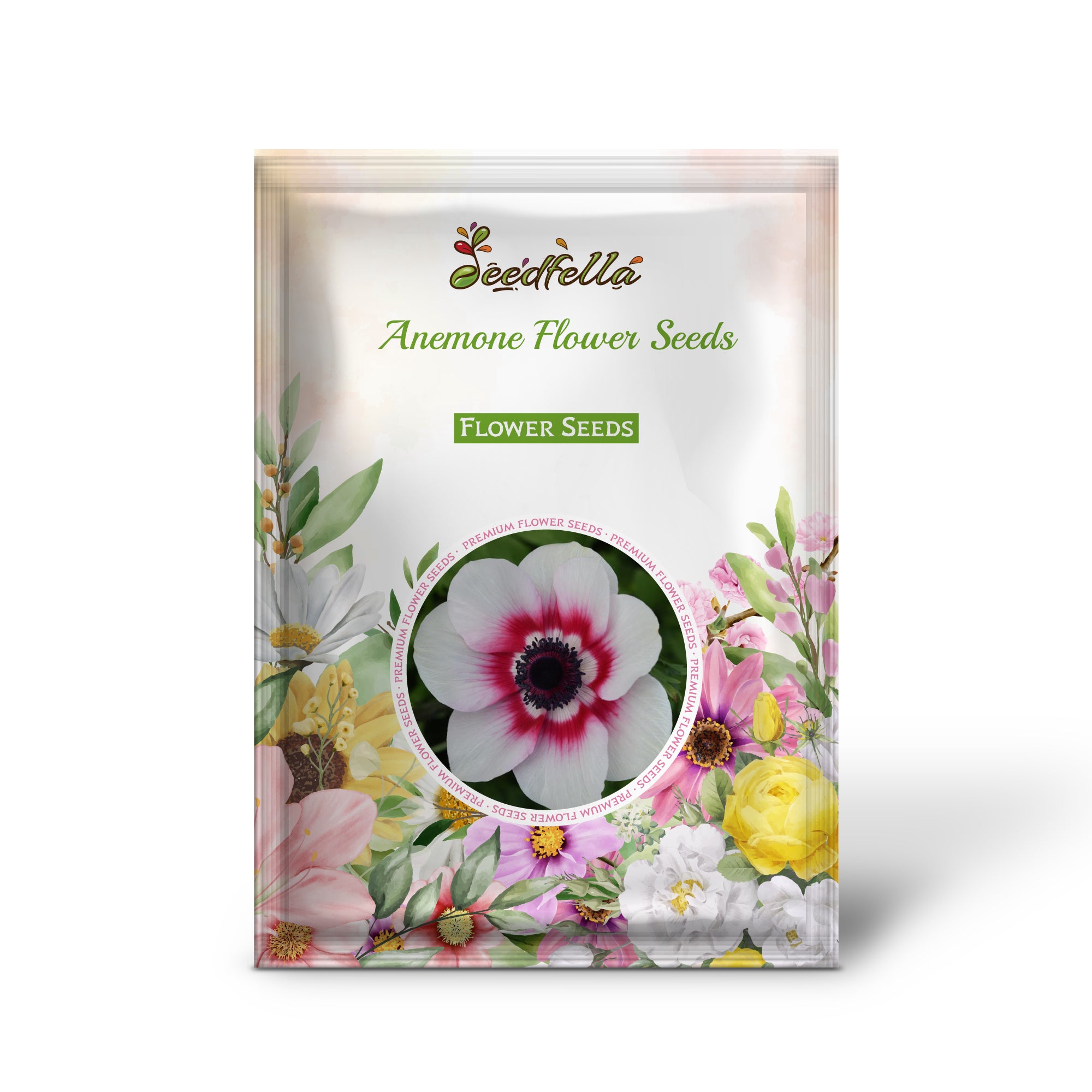 Pink and White Anemone Blooms in a Colorful Garden