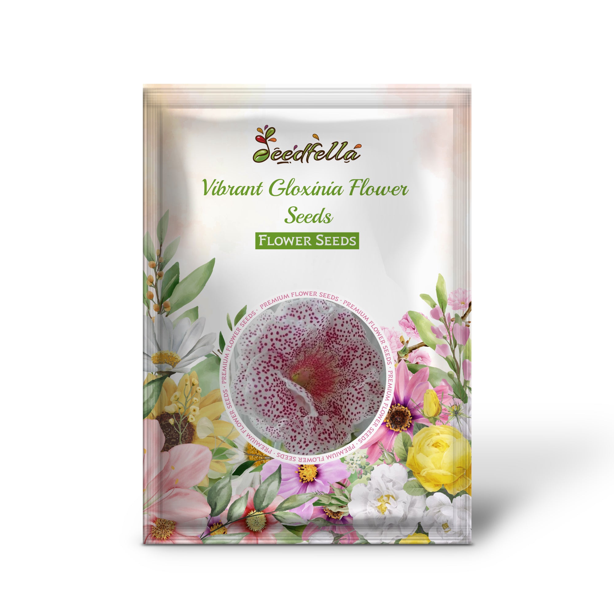 Pink & White Gloxinia Flowers in Garden