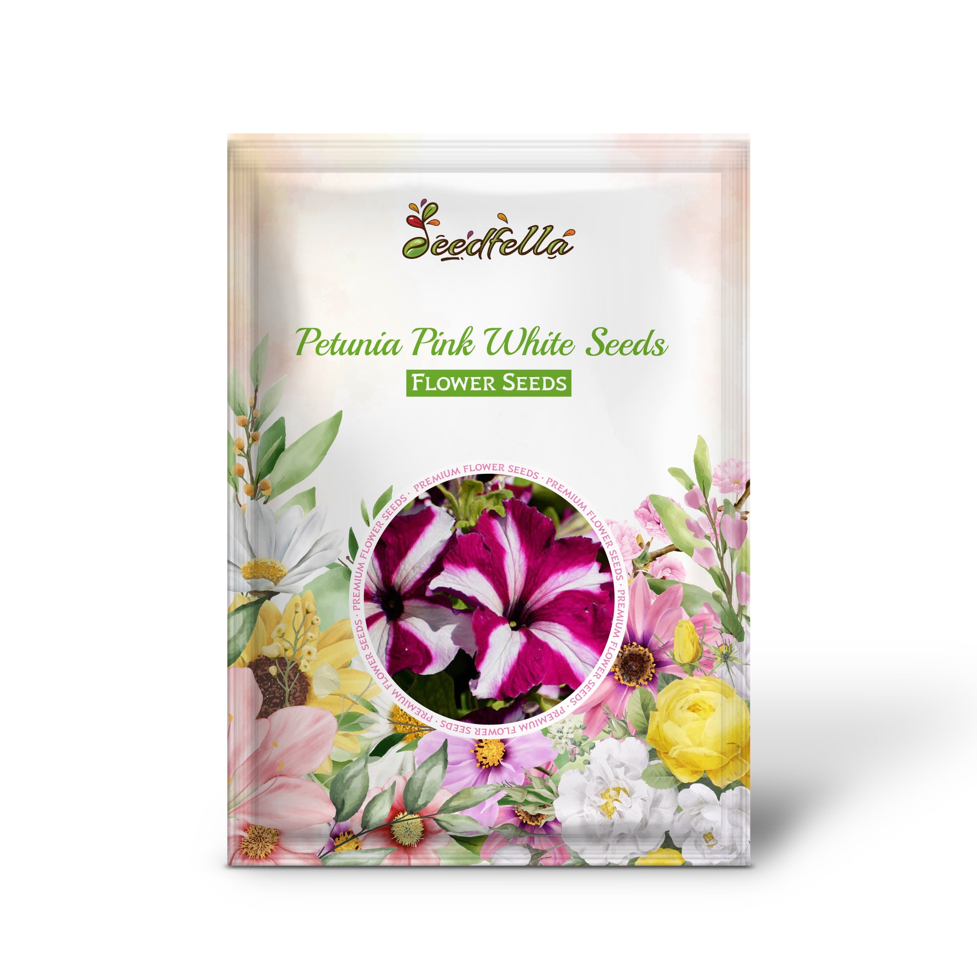 Pink white petunia seeds germinating seedlings