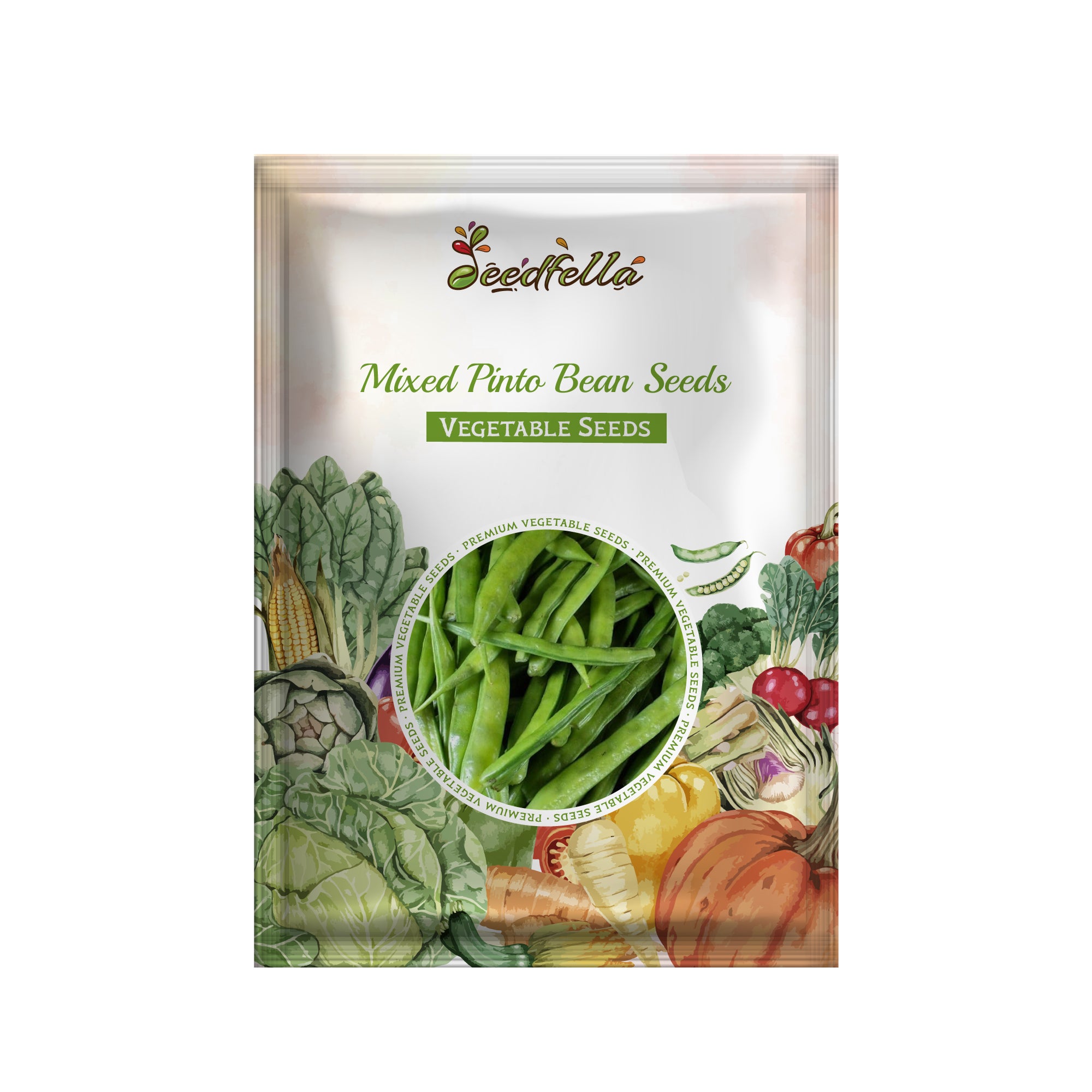 Pinto bean seedlings growing in garden soil