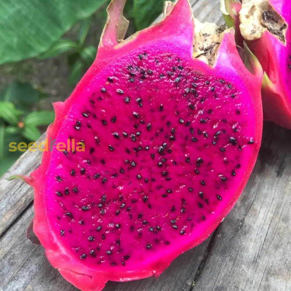 Pitaya Fruit Seeds For Planting - Add Unique Flavor To Your Garden