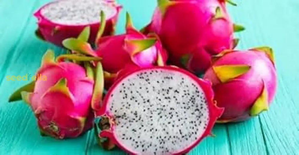 Pitaya Seeds Collection For Easy Planting Fruit