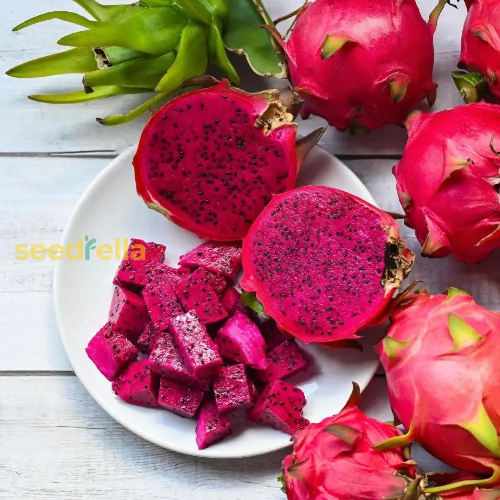 Pitaya Seeds For Planting: Cultivate Exotic Fruits