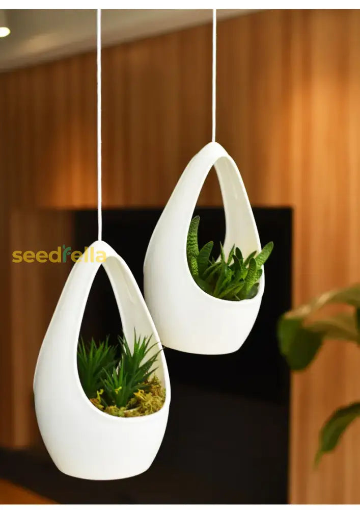 Plastic Hanging Flower Pots With Rope – Stylish Planters For Balcony & Home Decoration Garden Tools