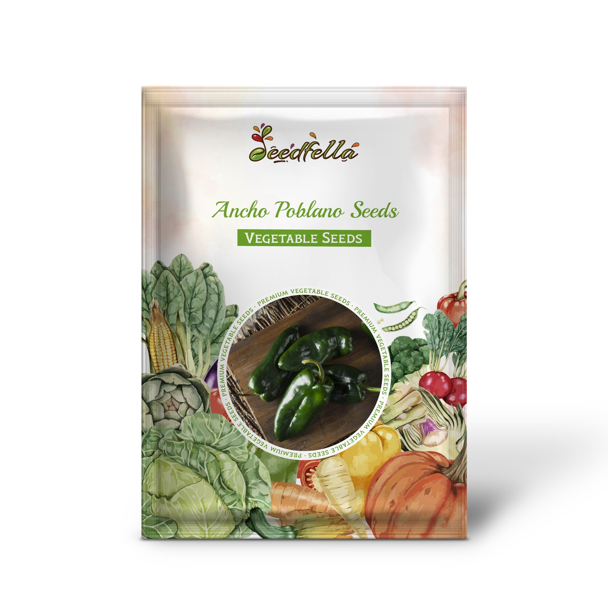 Healthy Poblano pepper seedlings growing