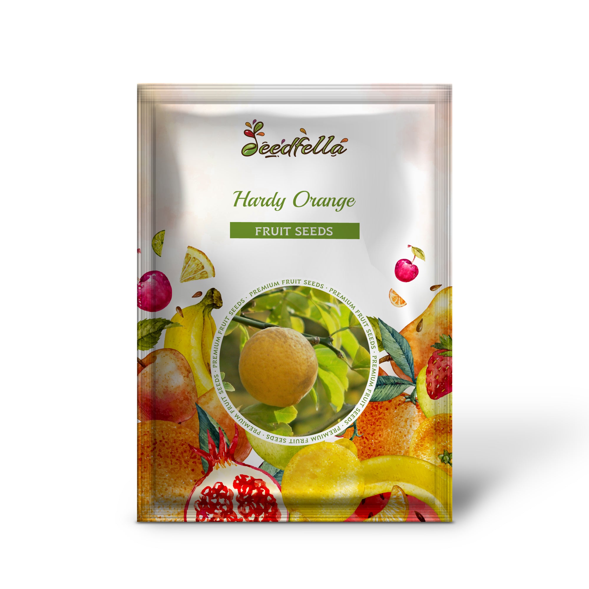 Poncirus trifoliata hardy orange seeds showing white fragrant flowers