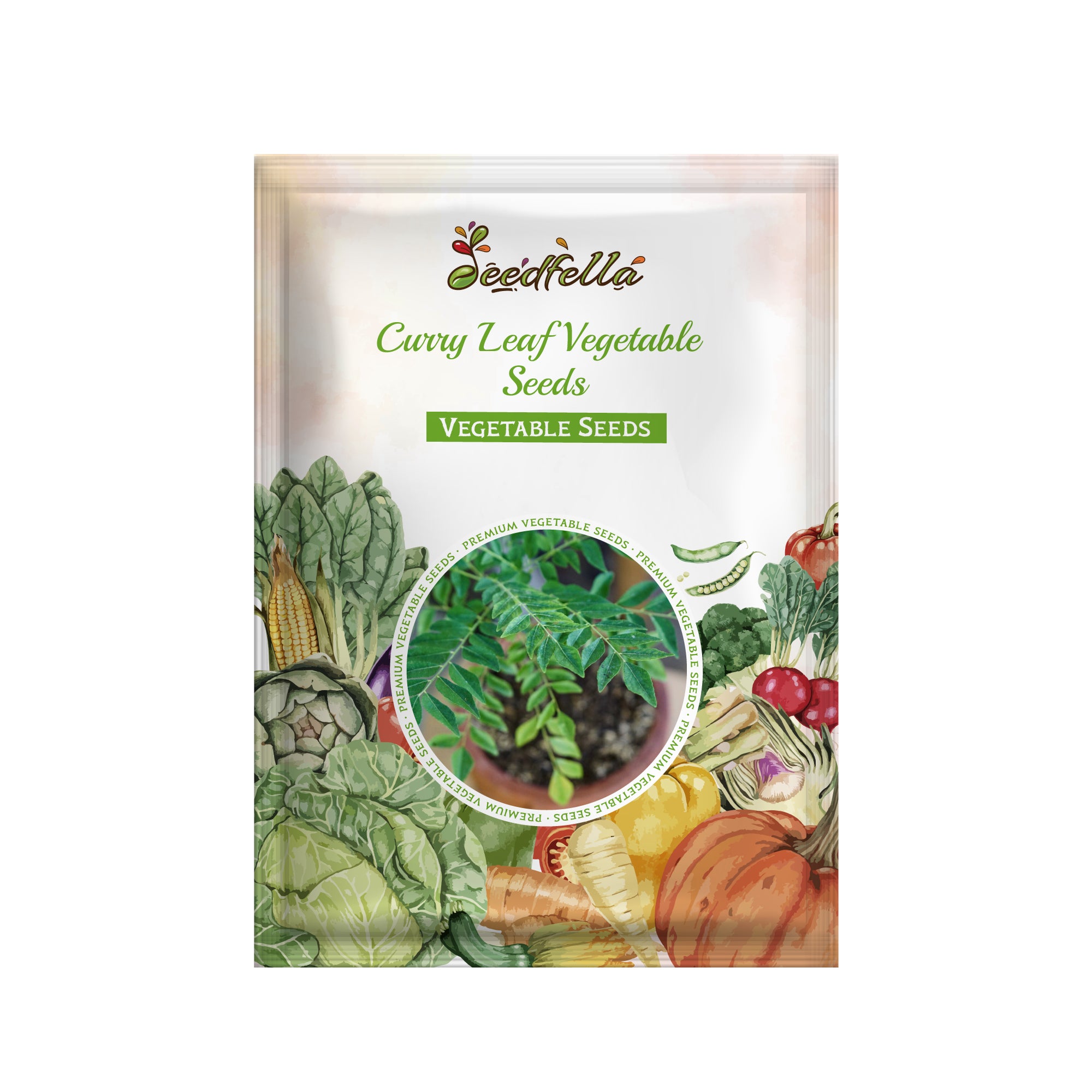 Ornamental Curry Leaf plant grown in container