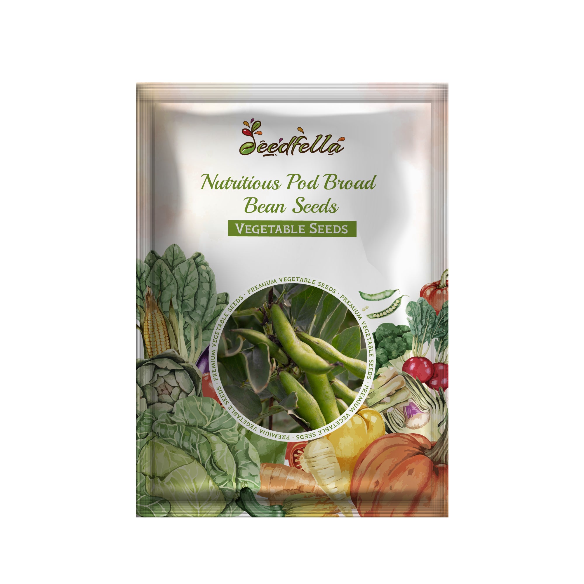 Premium Broad Bean Fava Bean seeds for home gardening