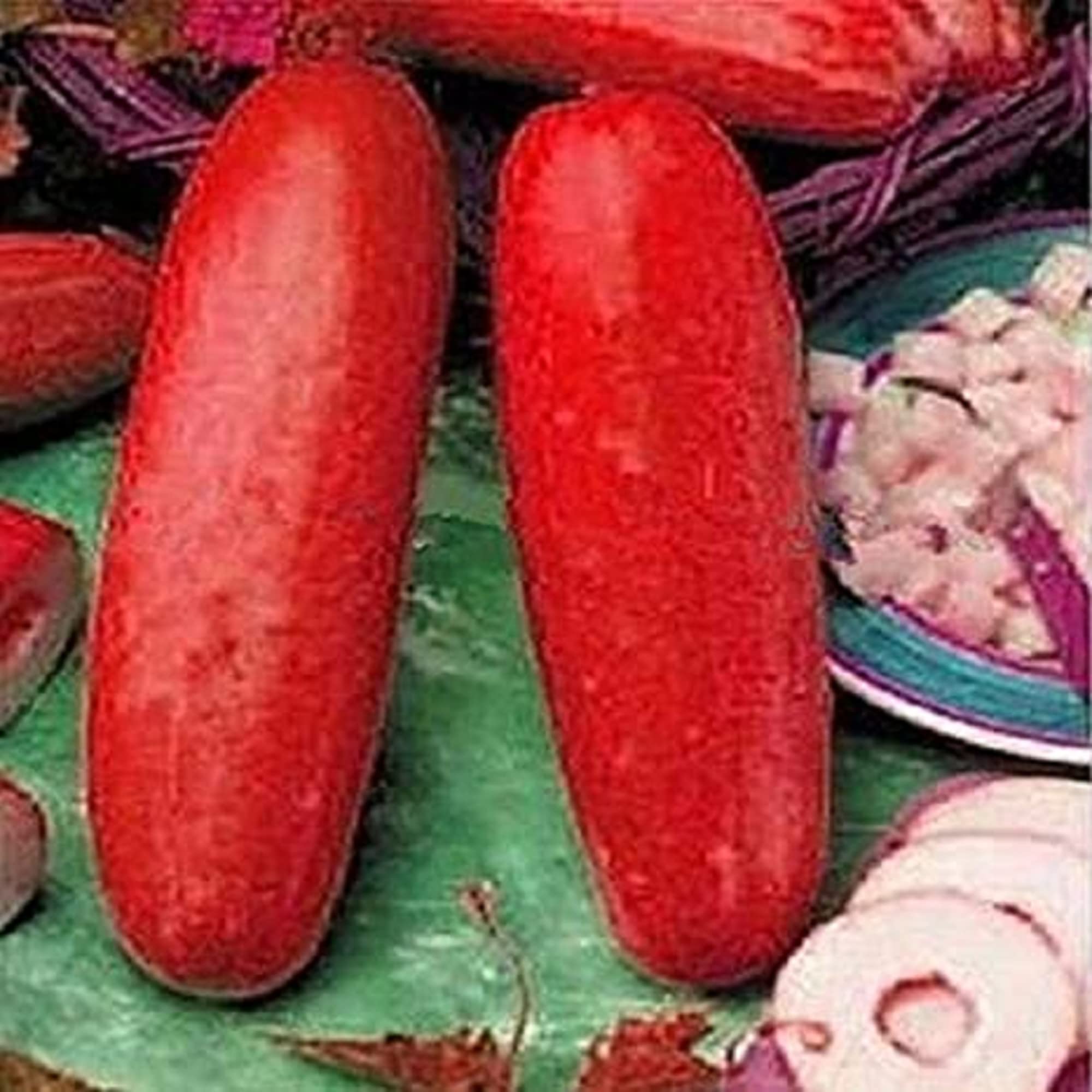Premium Crisp Red Cucumber seeds for planting