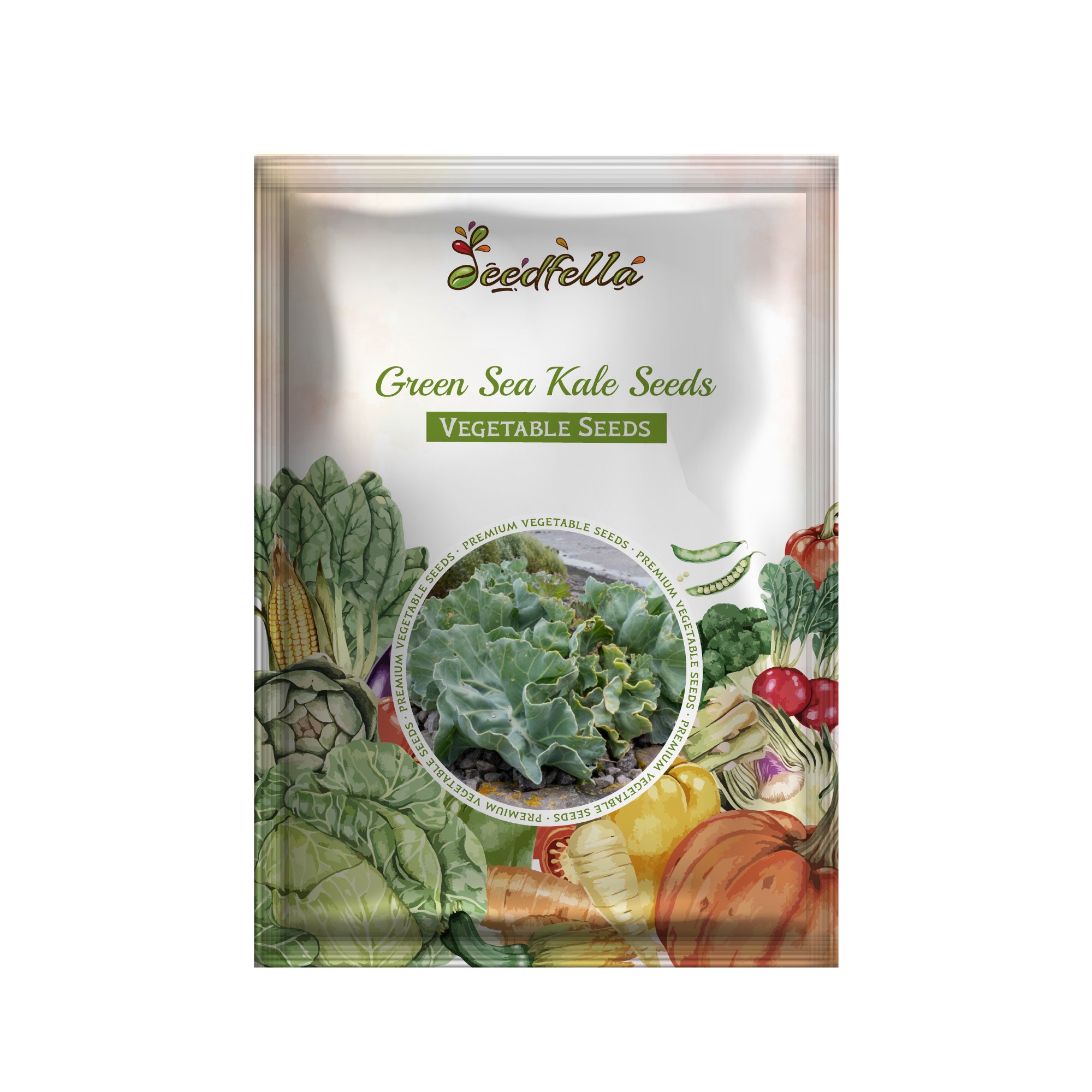 Premium non-GMO Green Sea Kale vegetable seeds