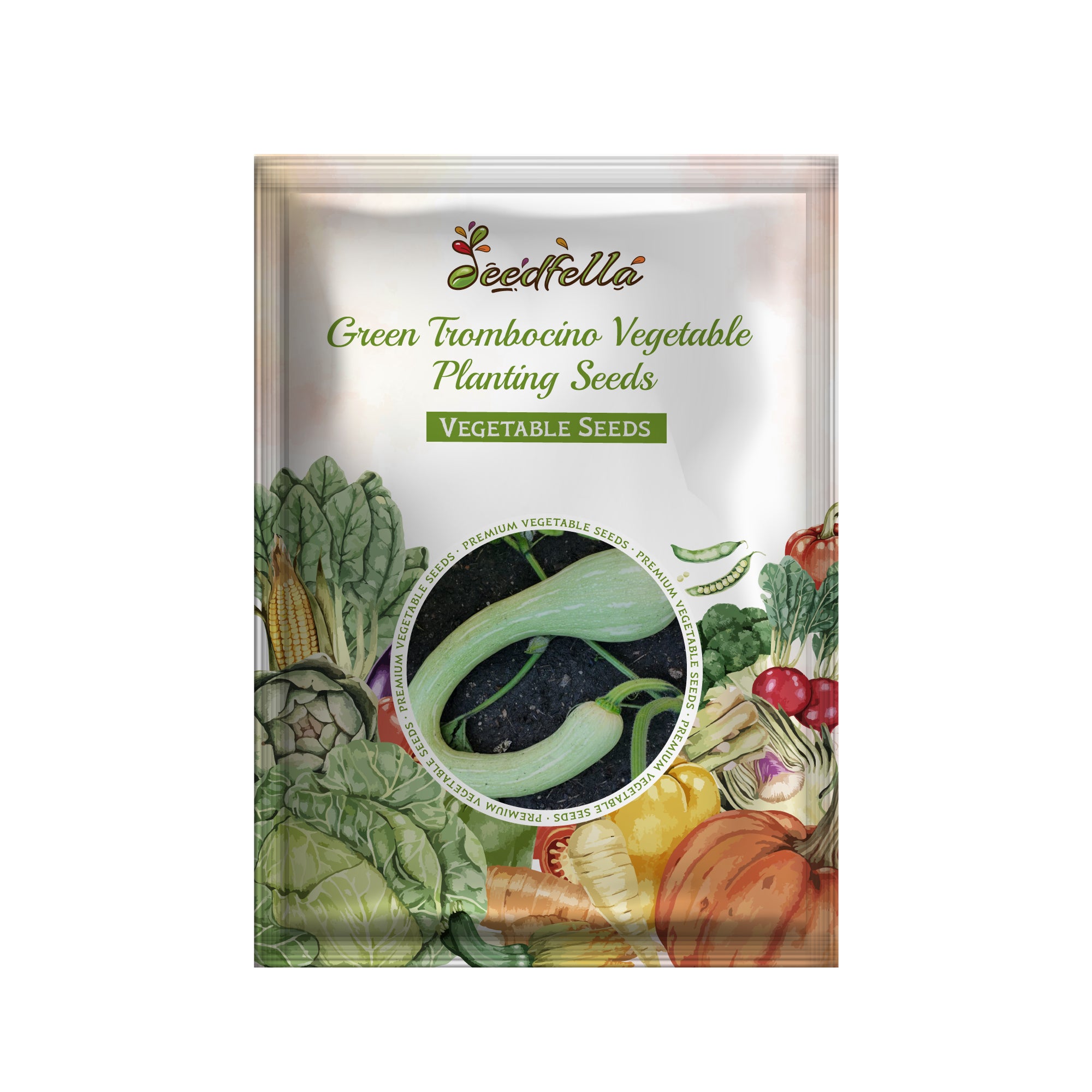 Premium Green Trombocino Squash seeds high germination