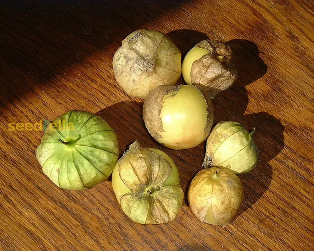 Premium light yellow tomatillo seeds high yield variety