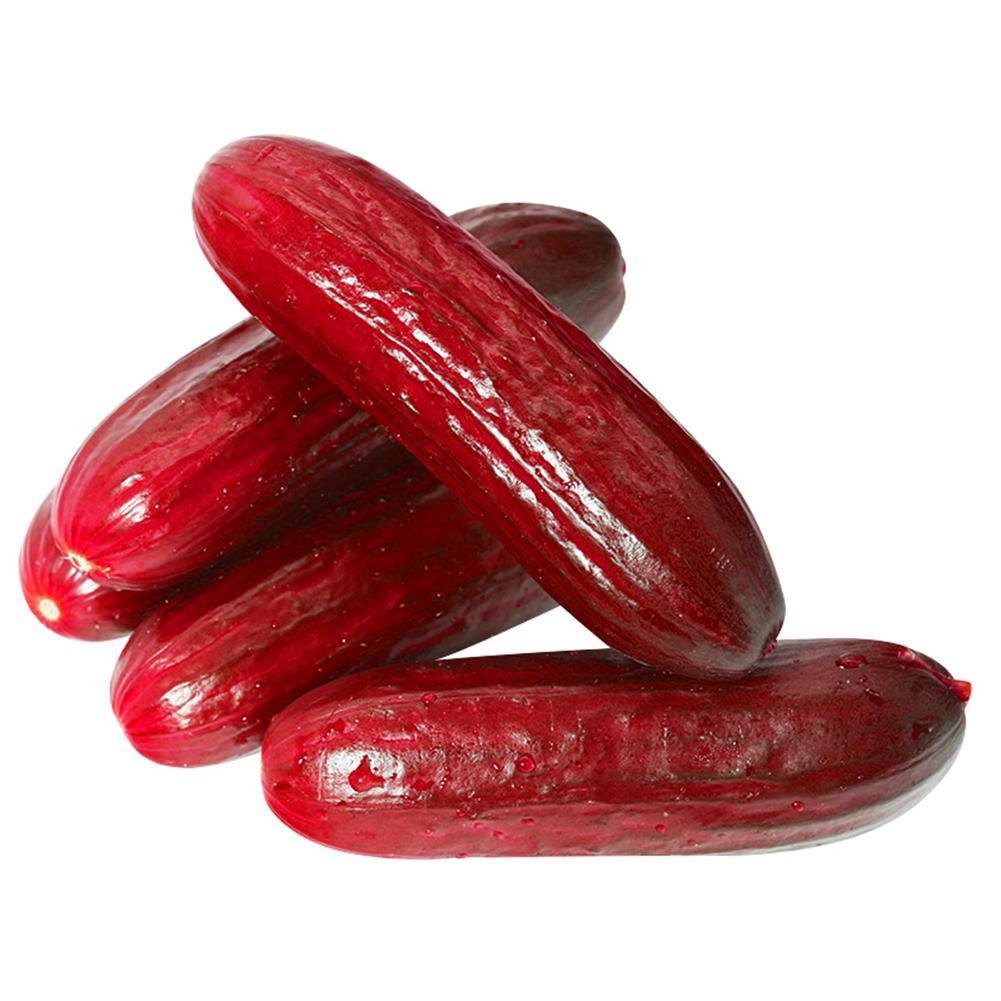 Premium organic red cucumber seeds warm season growing