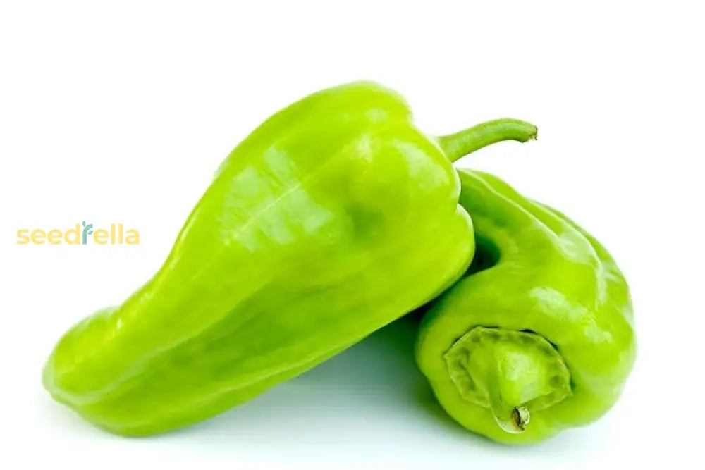 Premium Quality Sweet Romano Capsicum Seeds For Planting | Ideal Home Gardening And Vegetable Beds