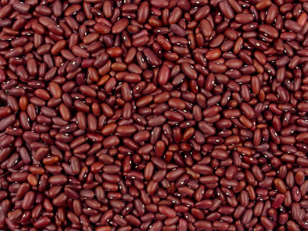 Premium Red Kidney Bean seeds for easy planting