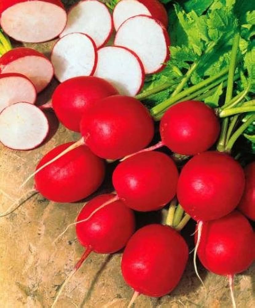 Premium Red Radish seeds for easy planting