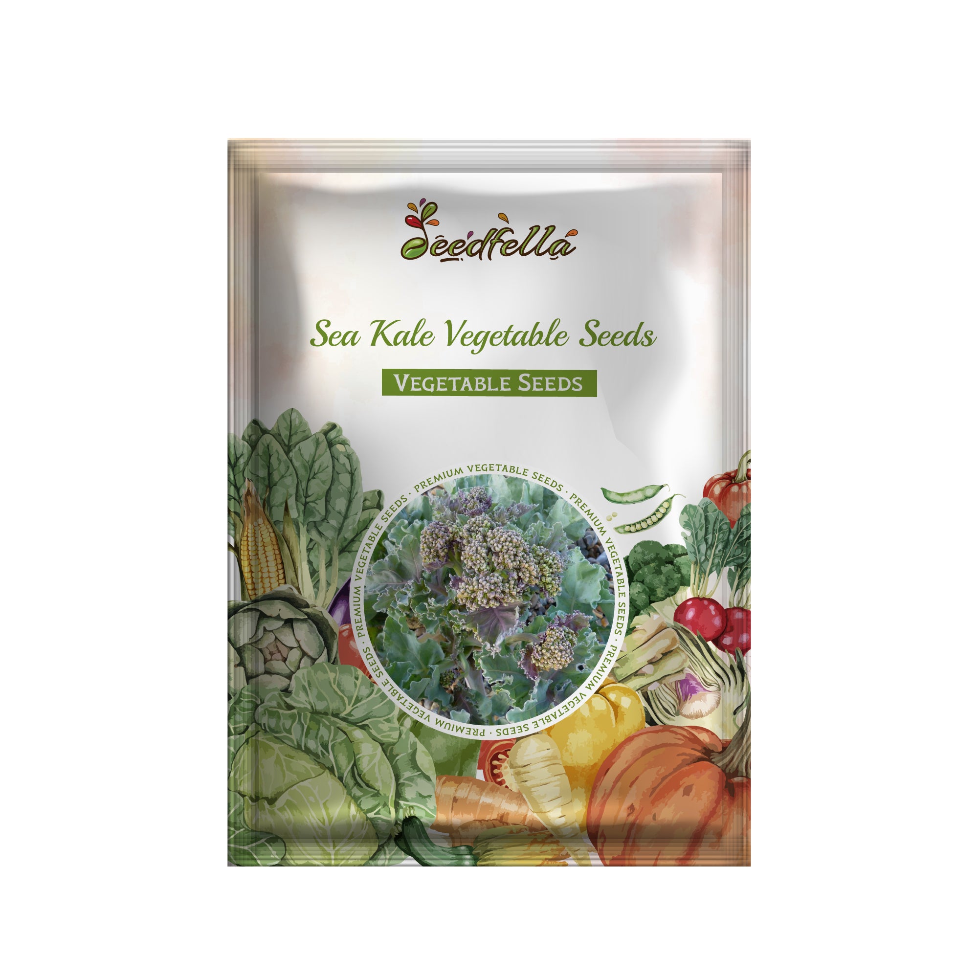 Premium non-GMO Sea Kale vegetable seeds