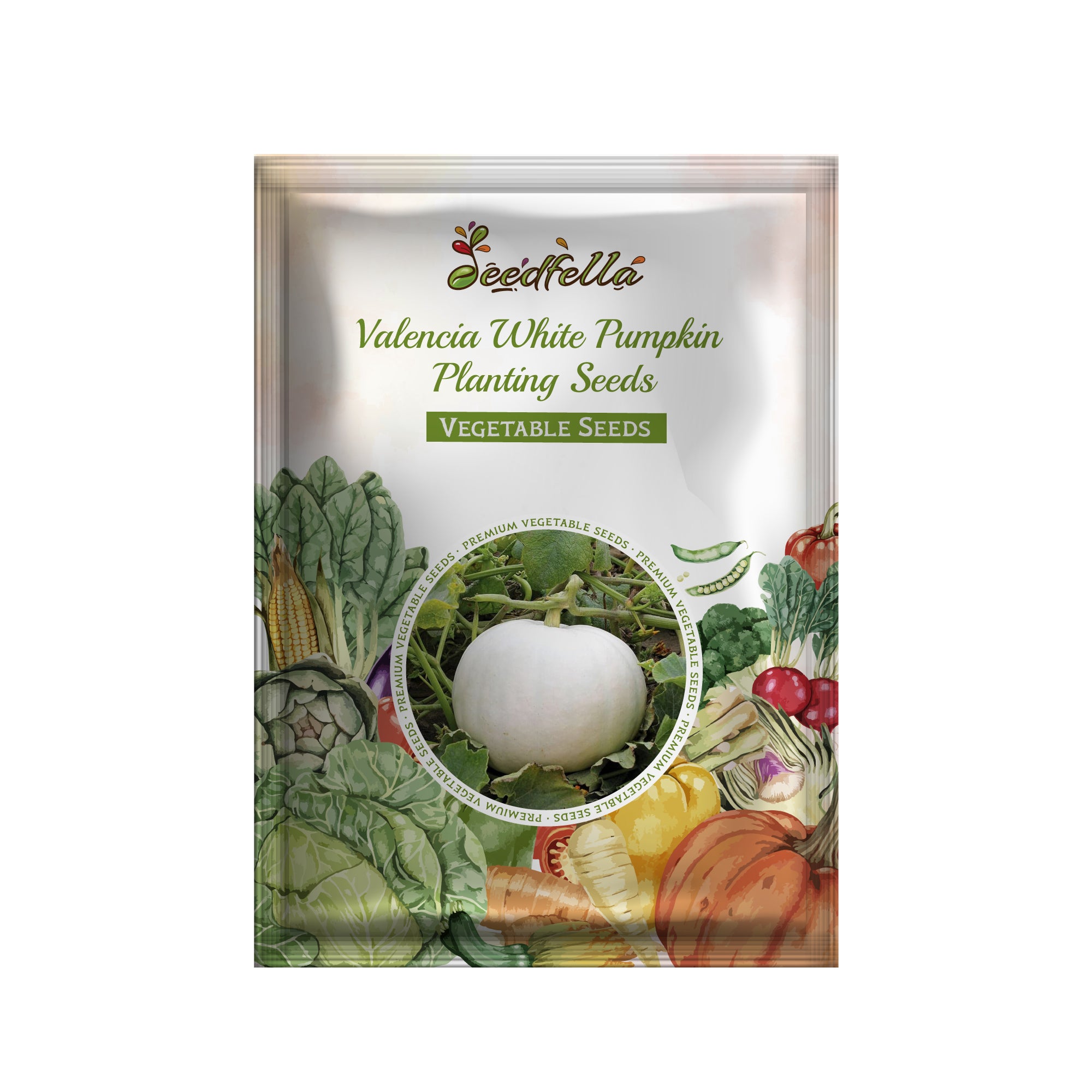 Premium Valencia White Pumpkin seeds for home gardening