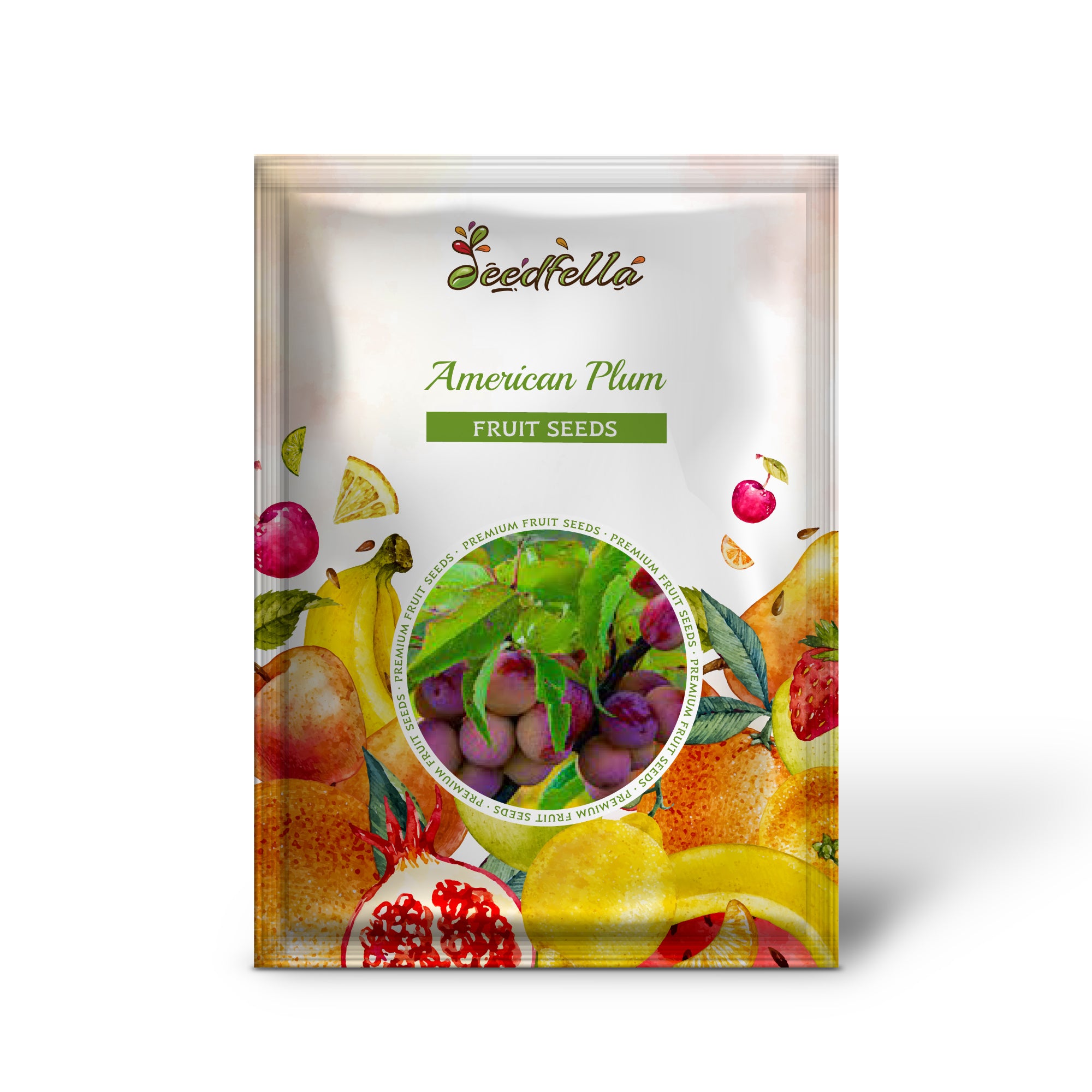 Prunus americana American Plum seedlings in pots