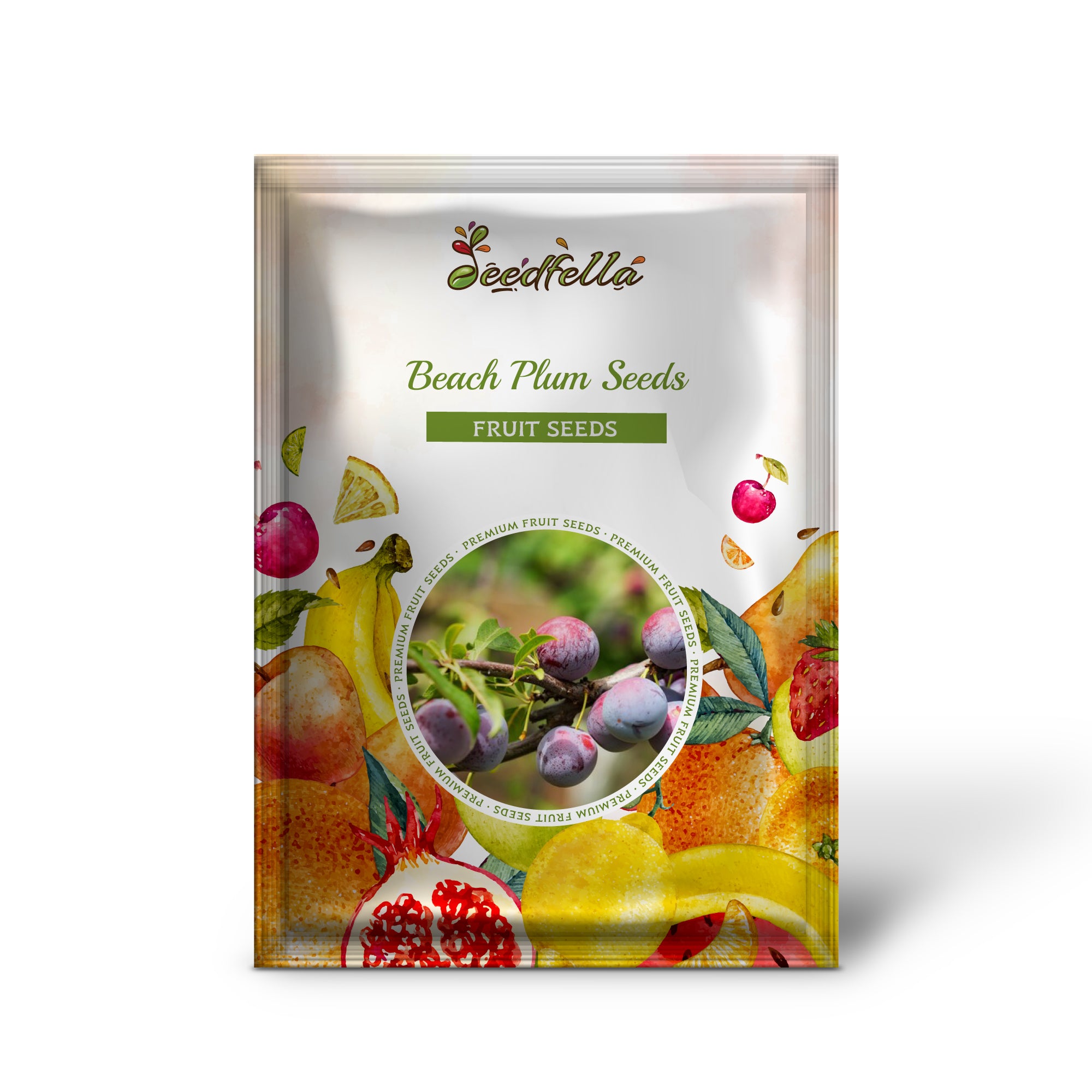 Prunus maritima fruit shrub seeds white flower plum variety