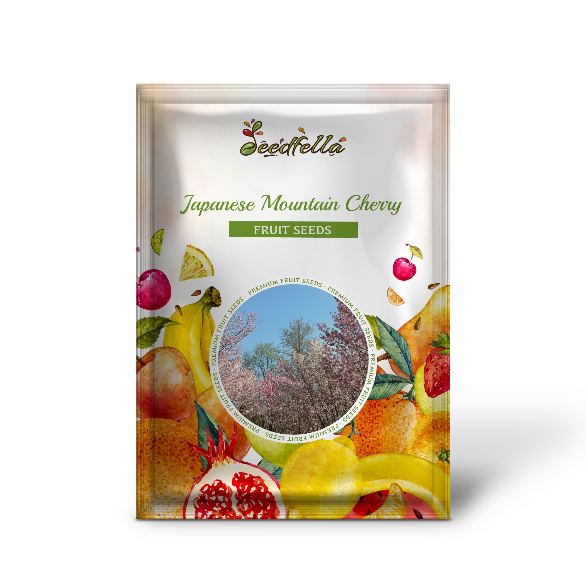 Prunus serrulata spontanea seeds producing pink and white cherry flowers closeup