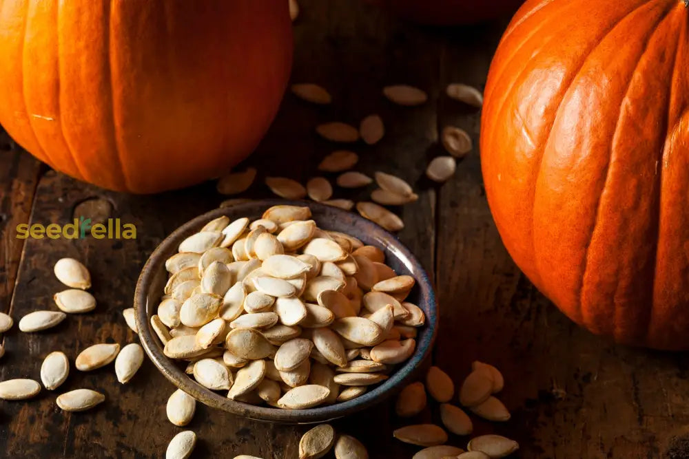 Pumpkin Seeds For Autumn Planting: Grow Your Own Harvest Vegetable Seeds