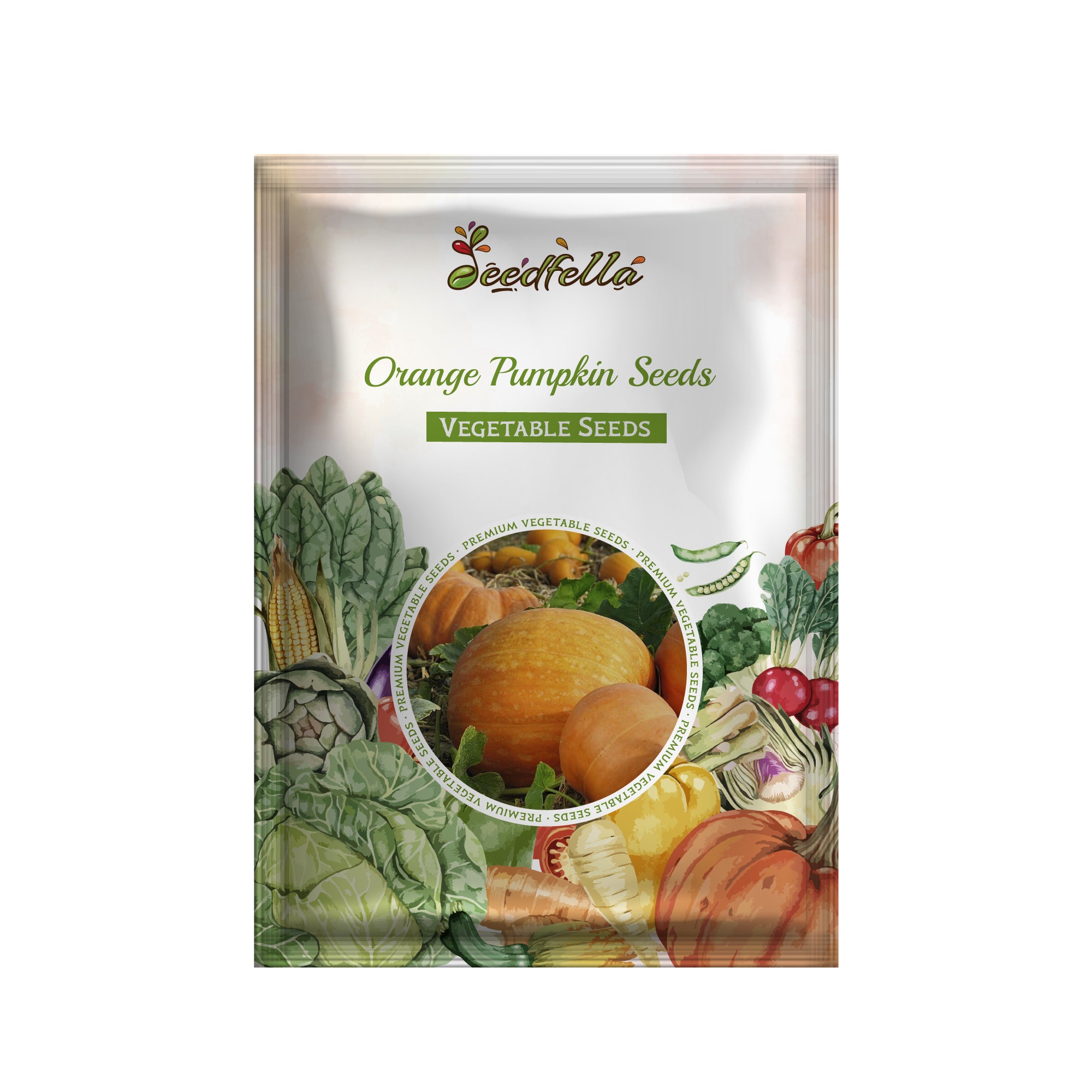 Orange Pumpkin seeds for home garden and raised beds