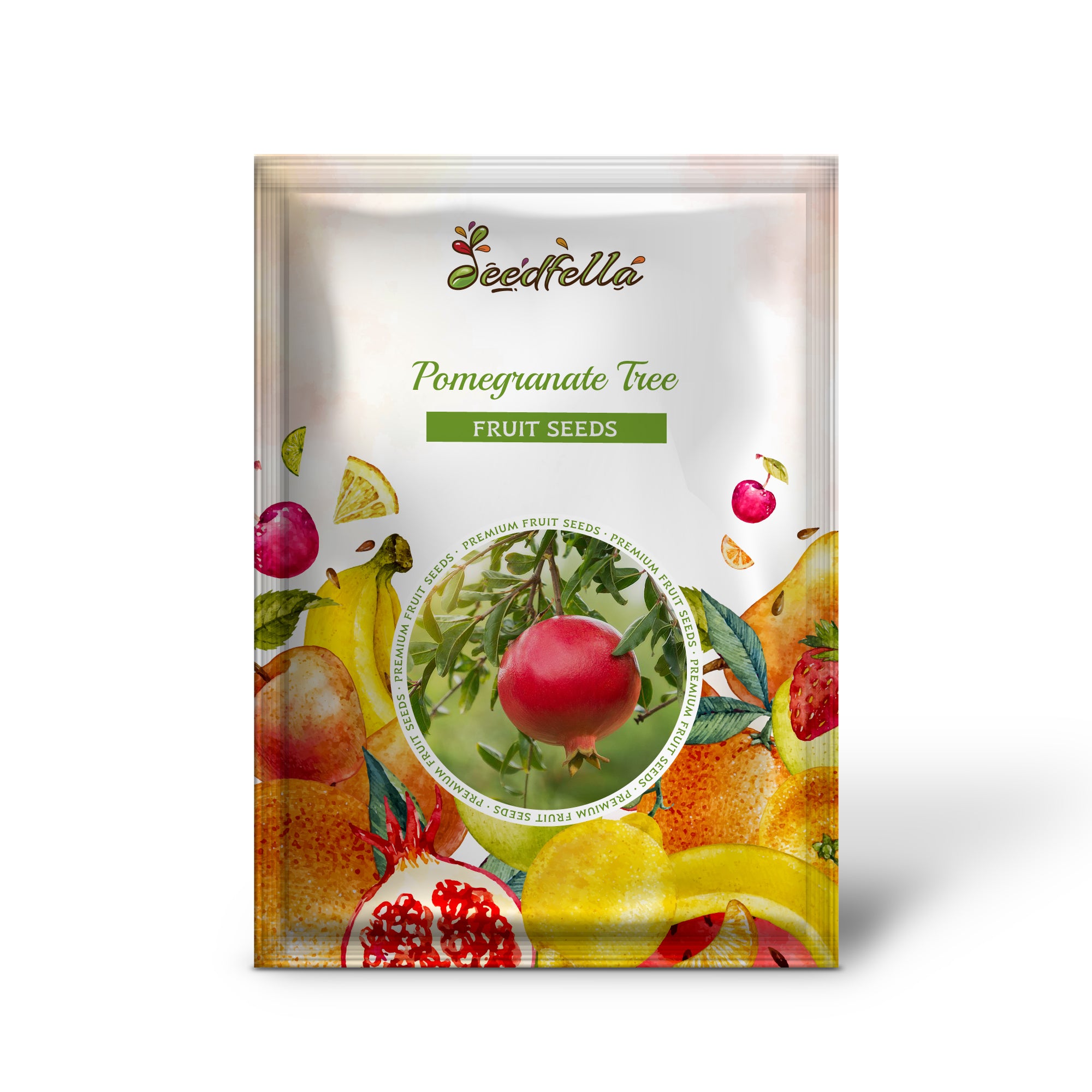 Punica granatum seedlings sprouting in pots