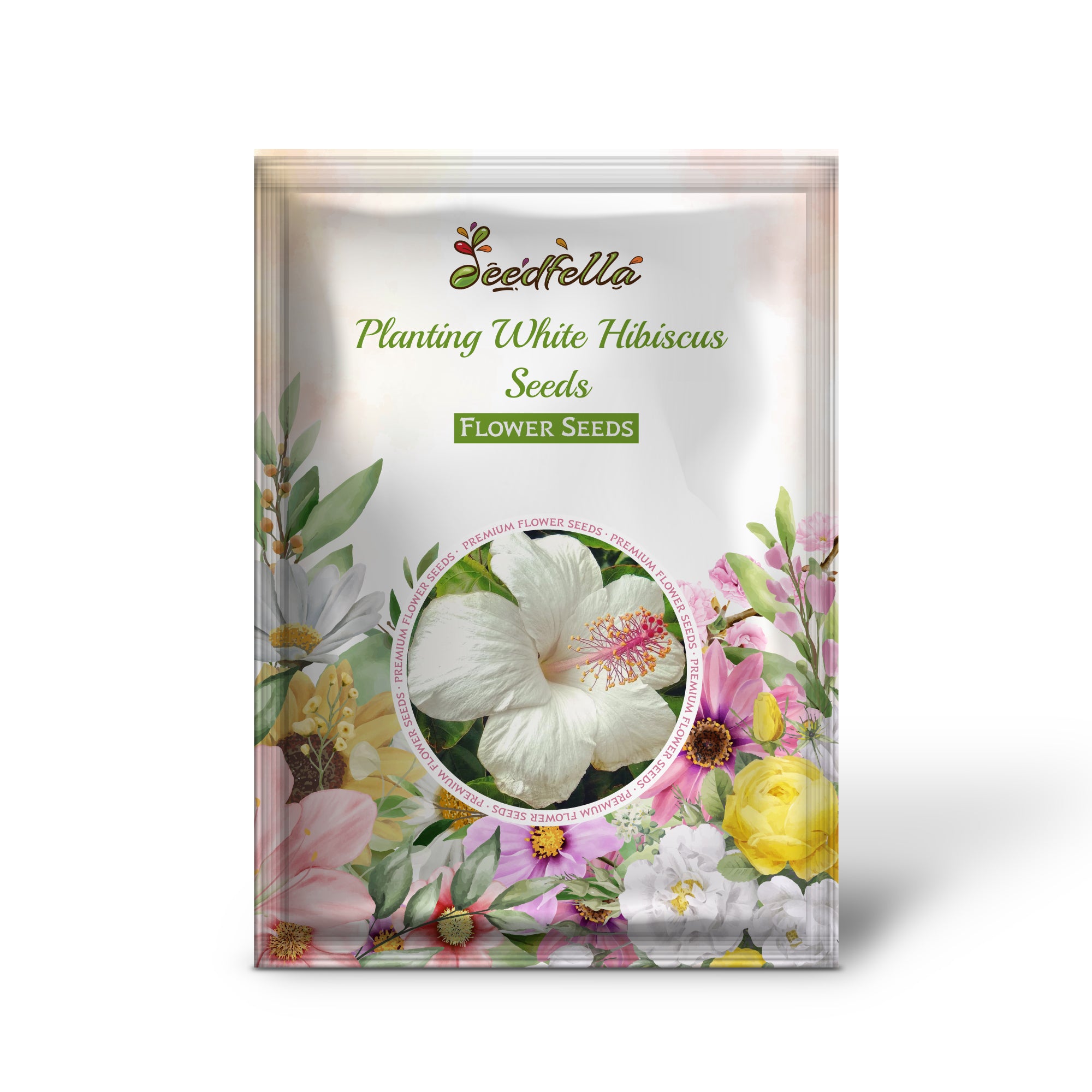 Pure White Hibiscus Blooms in Garden