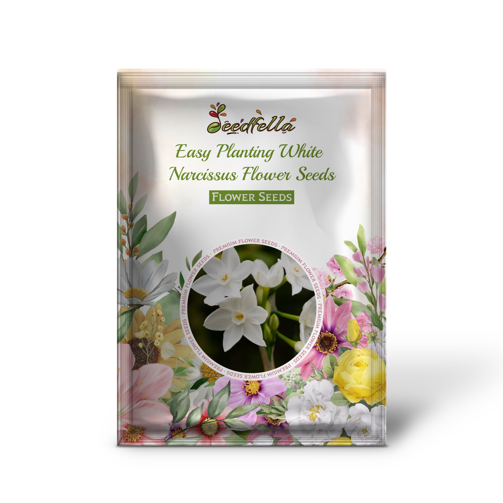 Pure White Narcissus Blooms in Garden