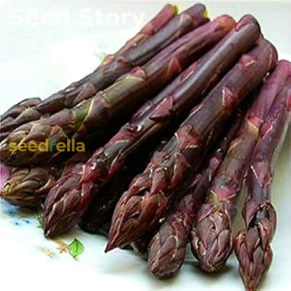 Purple Asparagus Seeds  Perfect For Planting Vegetable Seeds