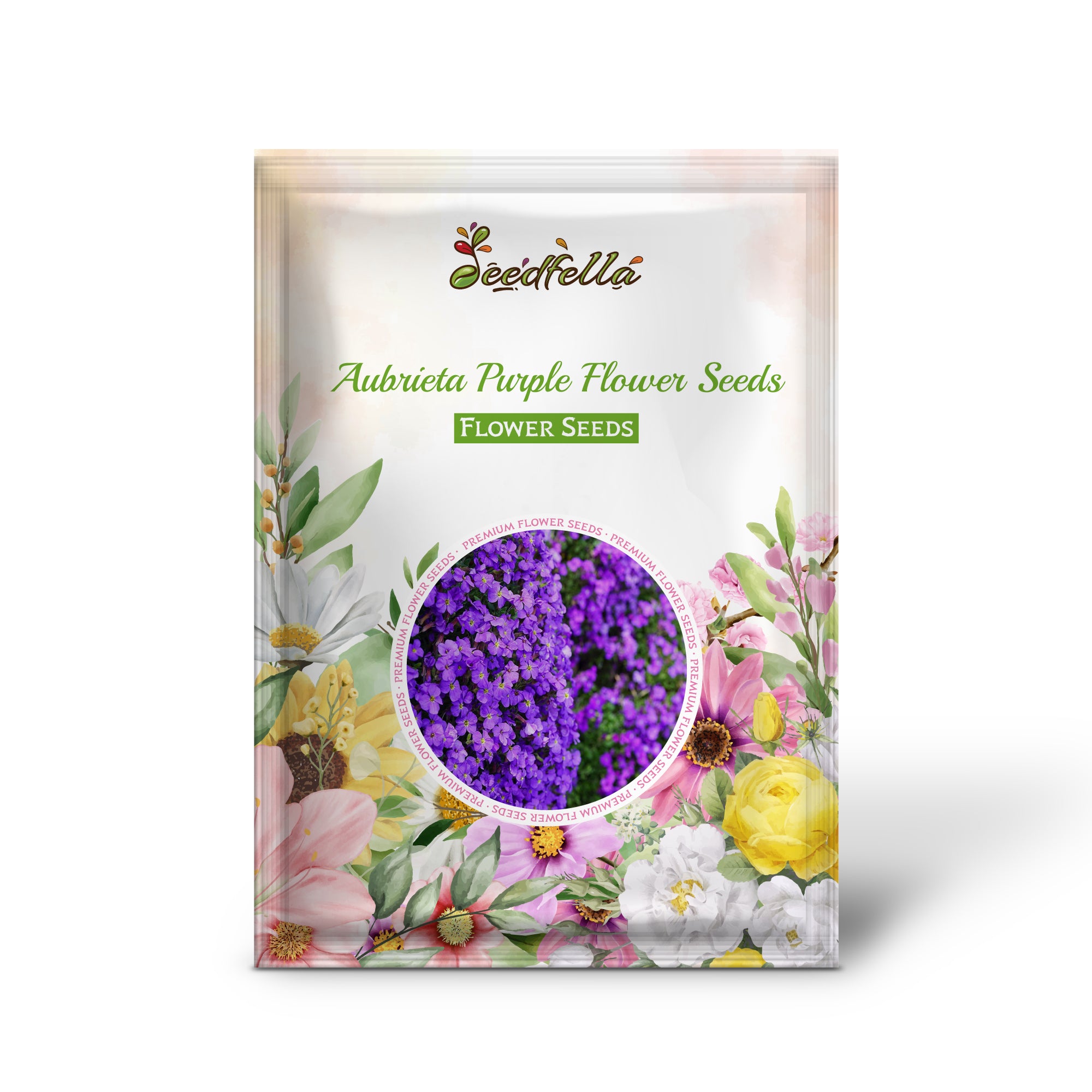 Purple Aubrieta Flowers in Full Bloom