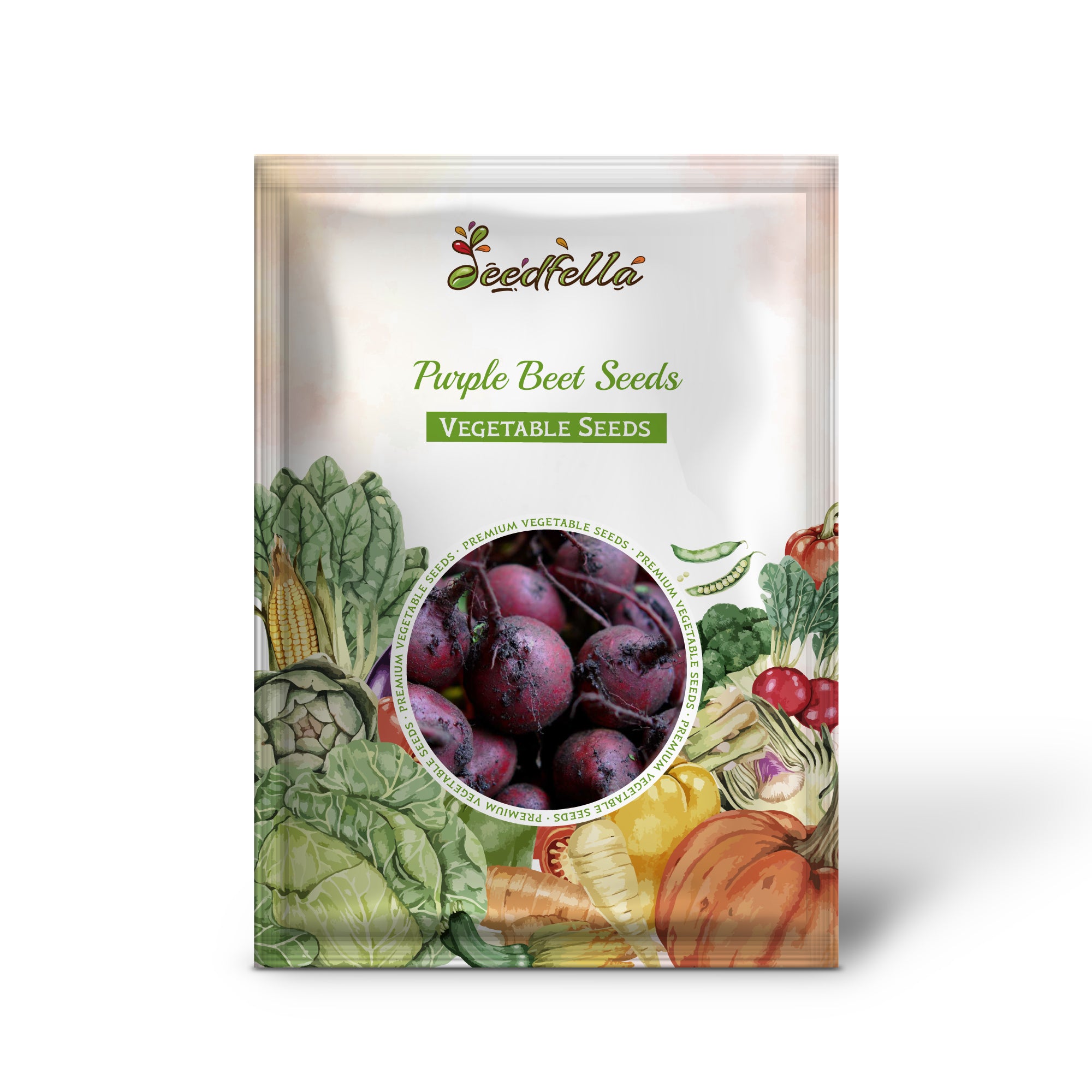 Purple Beet plant growing in garden