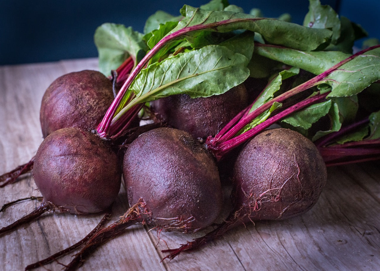 Harvest-ready Purple Beets from seeds