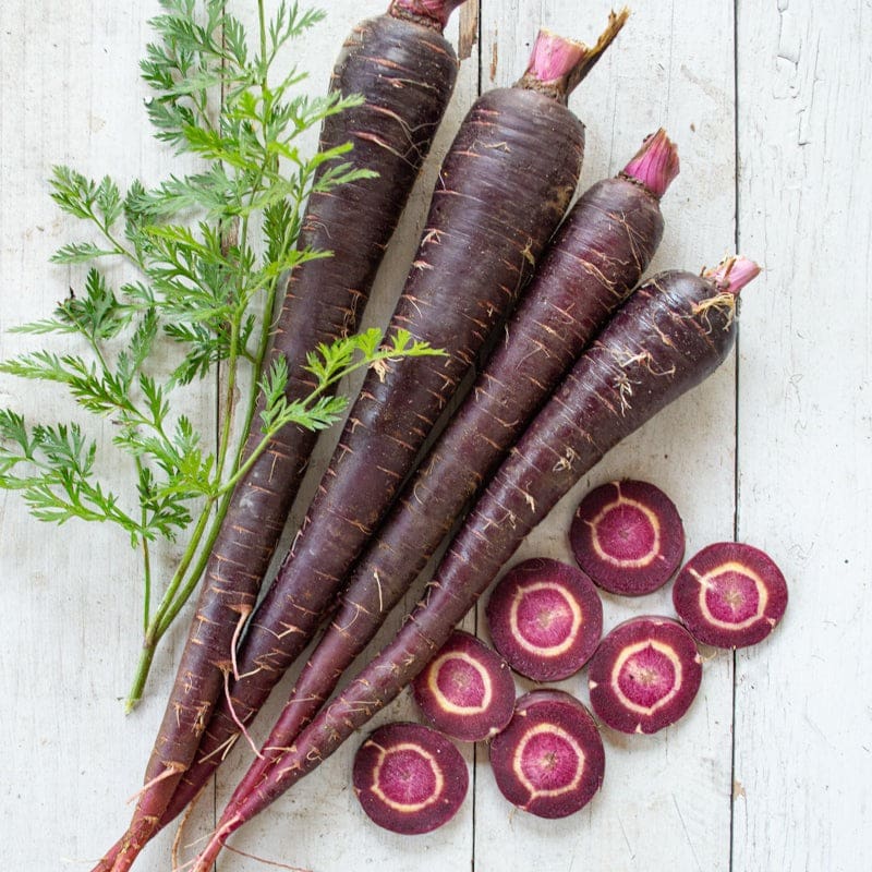 Non-GMO purple carrot seeds for planting