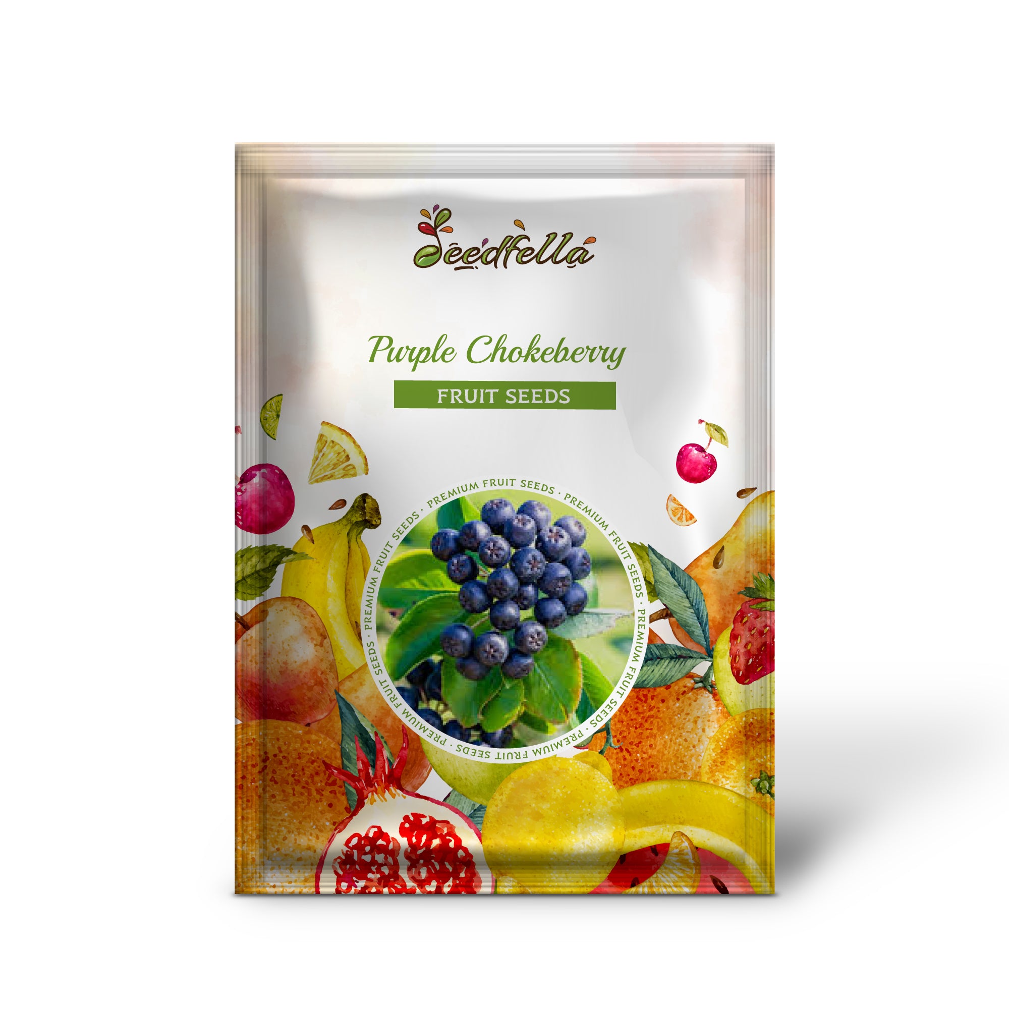 Purple chokeberry seeds growing shrub closeup view